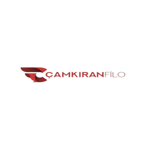 Finall Çözüm Ortağı